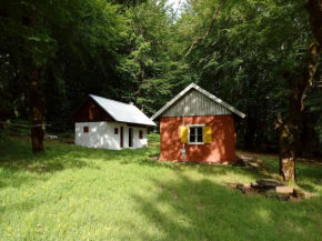 Calm cabins in the nature Kolašin
